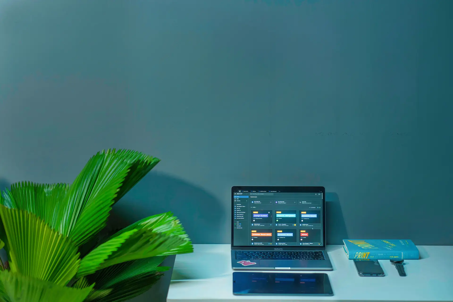 Northline Consulting projekt